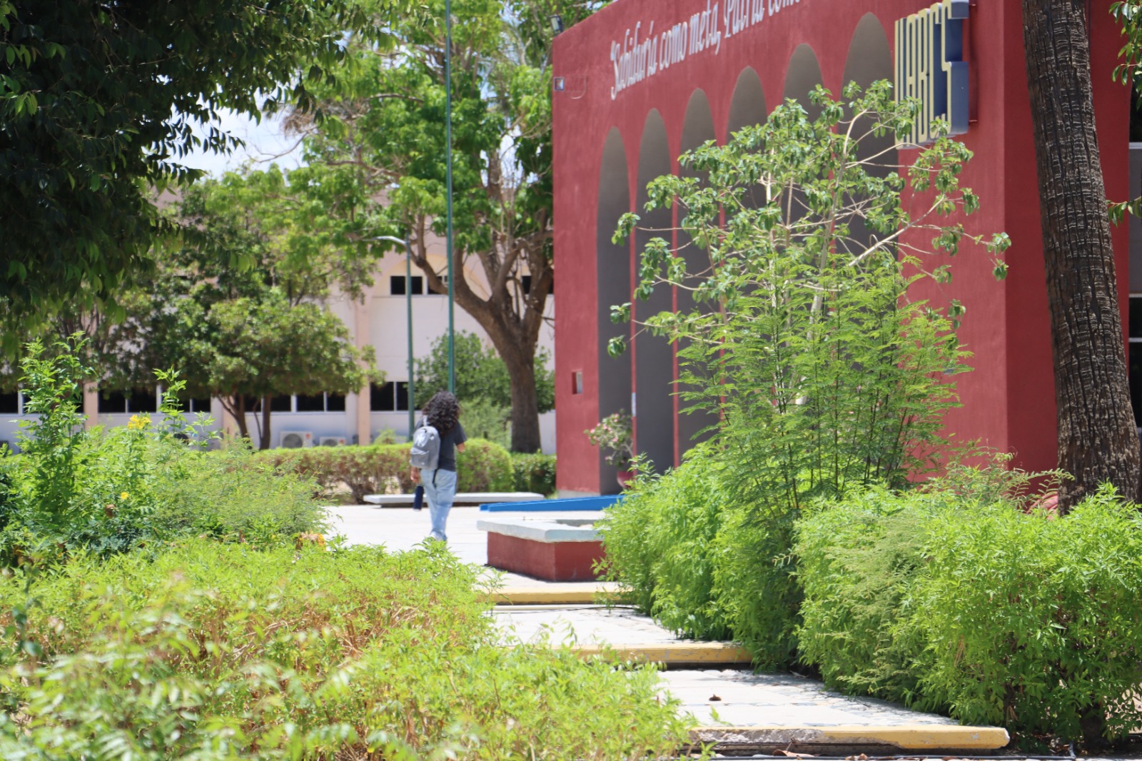 person capturing an image