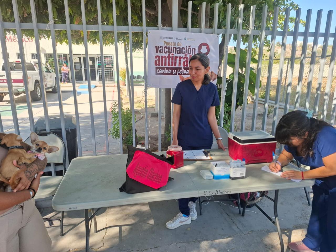 person capturing an image