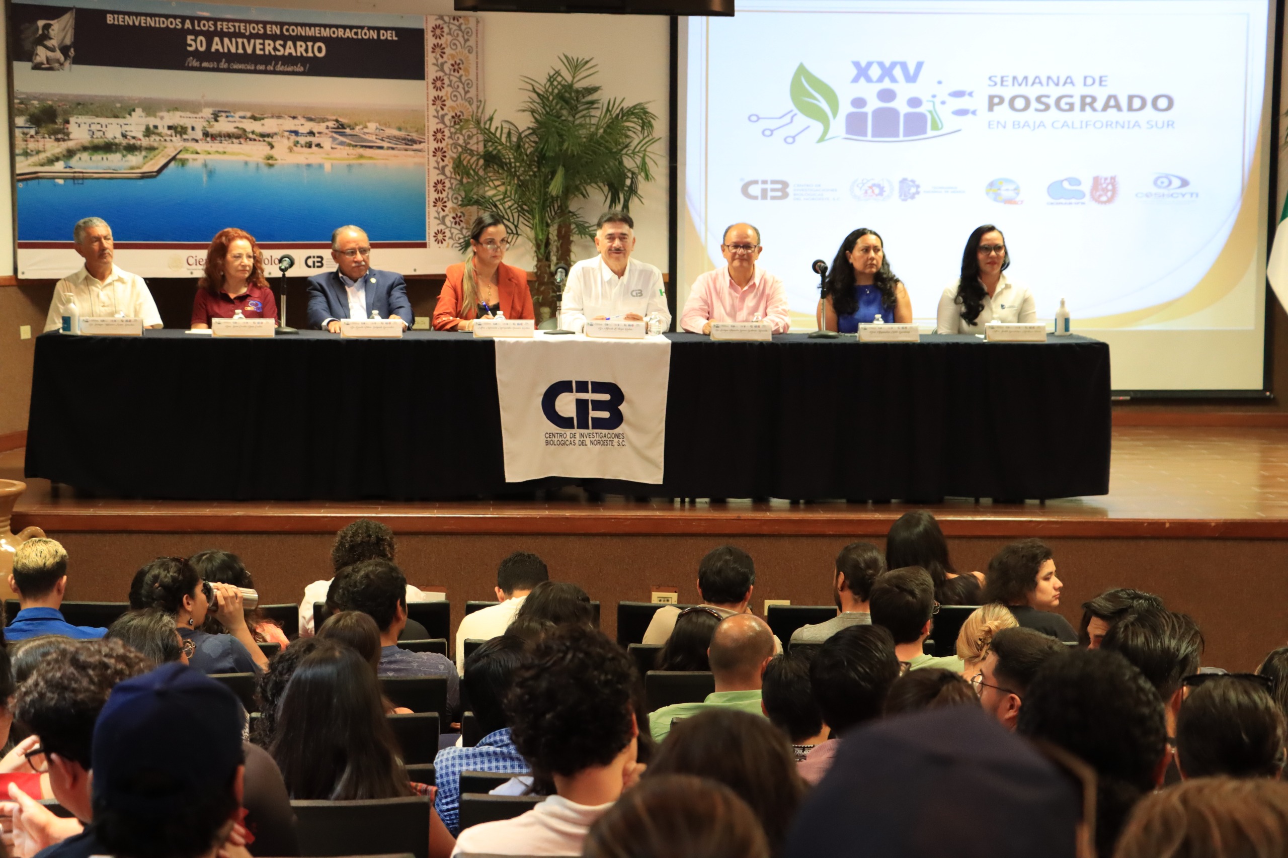 person capturing an image