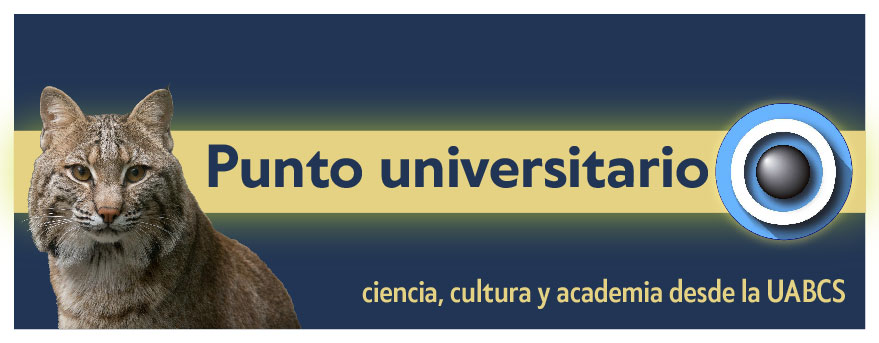 Revista Punto Universitario